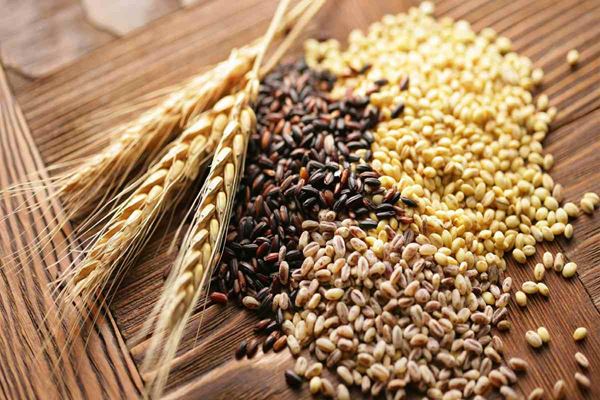 ترفندهایی برای از بین بردن حشرات برنج و حبوبات 